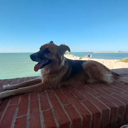 ゲストハウス Frida