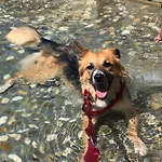 Frida Guest house 3*