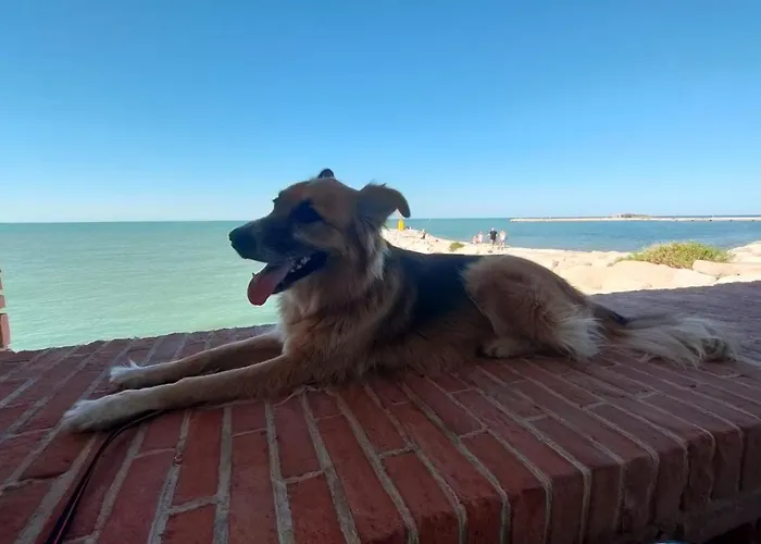 Πανσιόν Frida