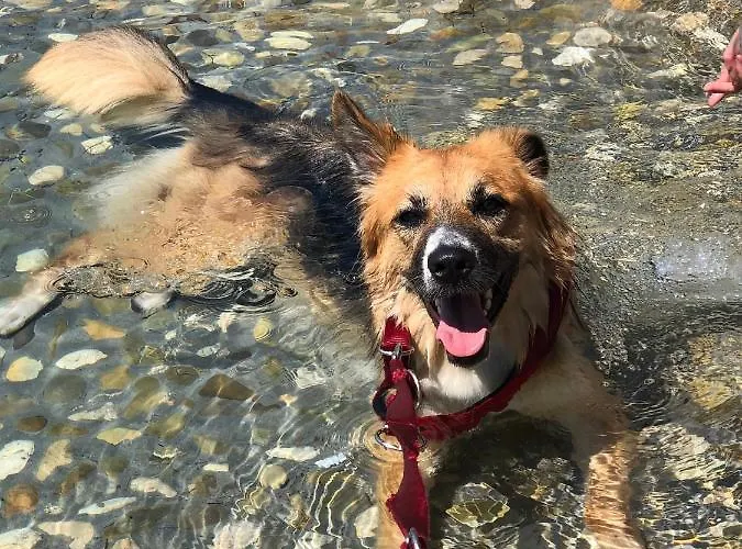 Frida Πανσιόν 4*